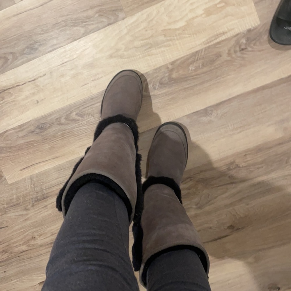 Sunburst uggs
